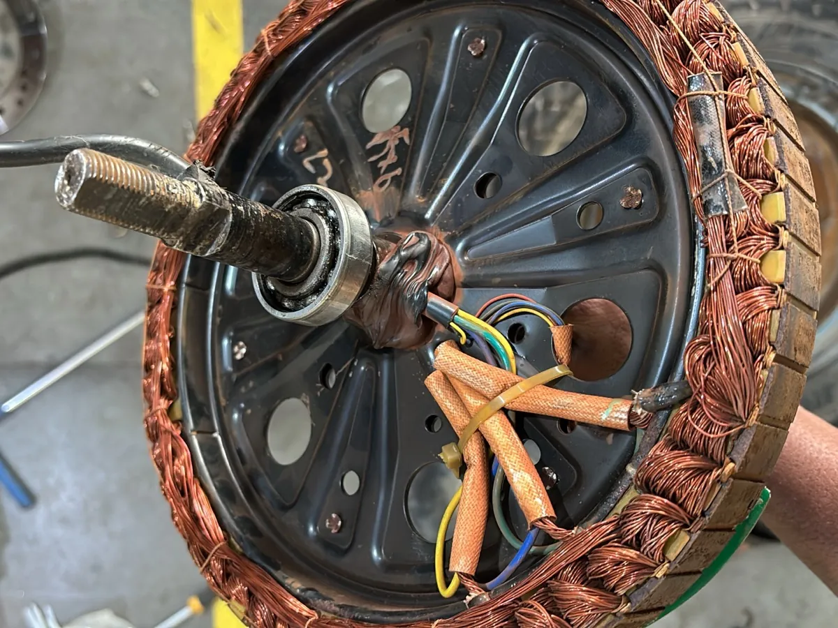 Hub motor stator — coil-level service